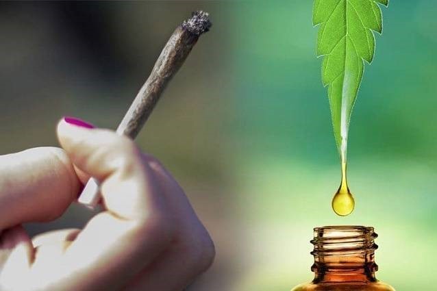 CBD Oil For Dogs With Arthritis Rangeley 
      ME